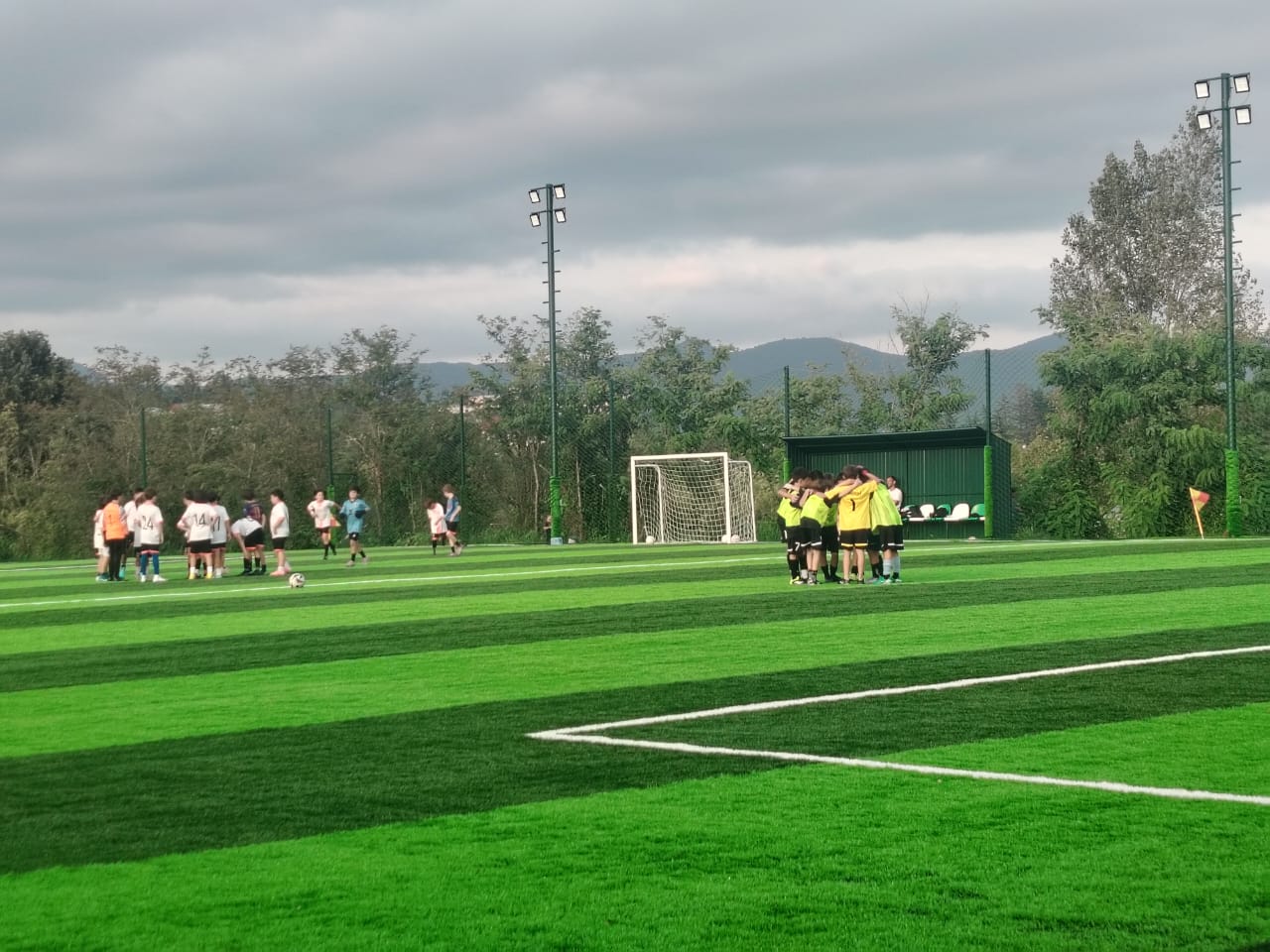 2066607a-bb81-45ea-aabf-447a717cb3d1