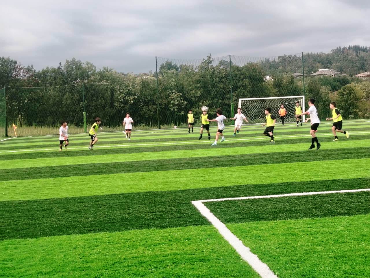 668c5276-e431-4ca0-b07e-e4b7010b2351