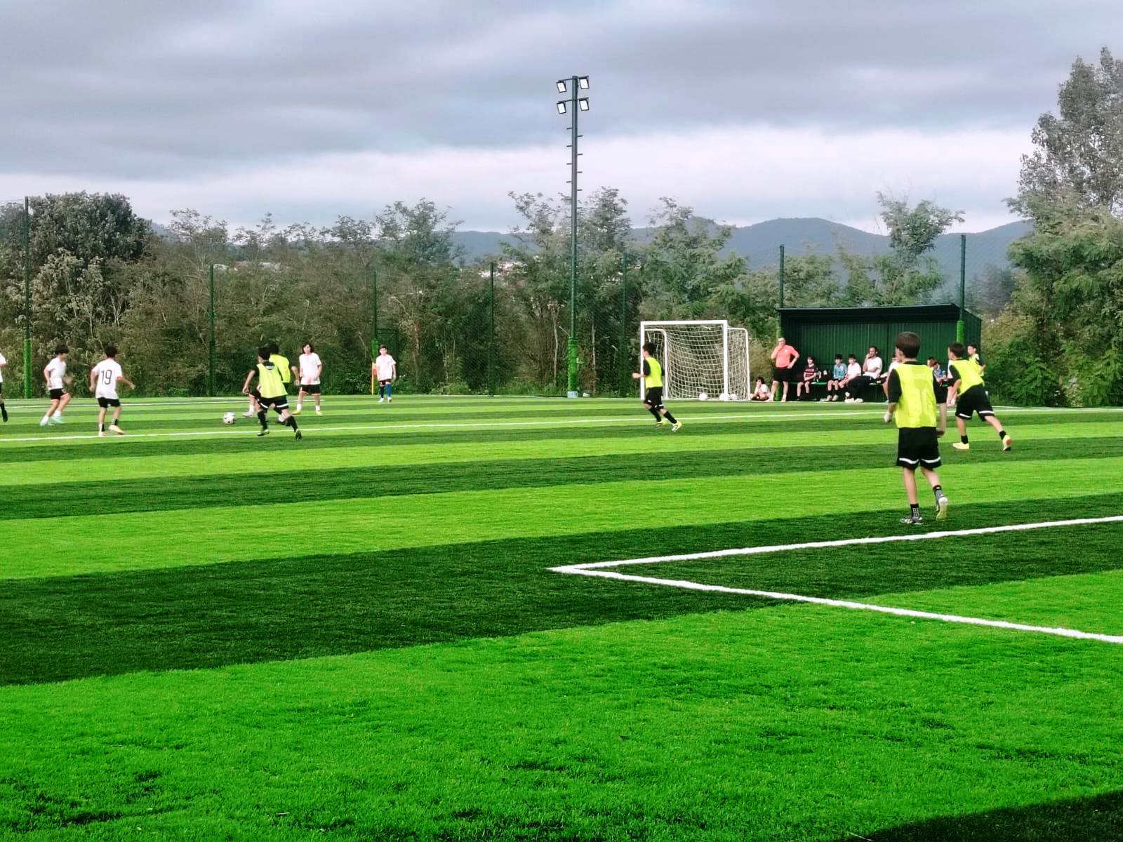 8f966671-e554-4432-af9d-b6dbcc037027