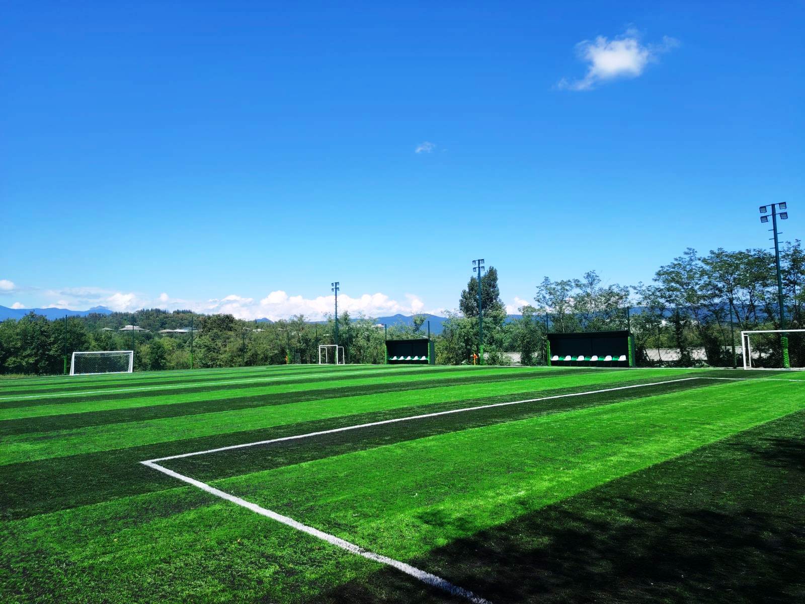 e3a7a3b7-69da-45e2-b5c5-fc3a1ade1e82