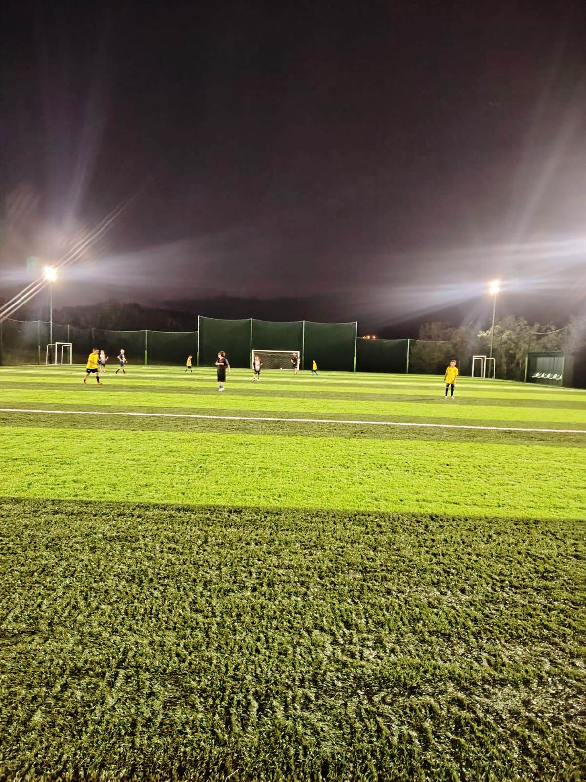 e674a3e7-2068-4f67-8814-b6a285a87517